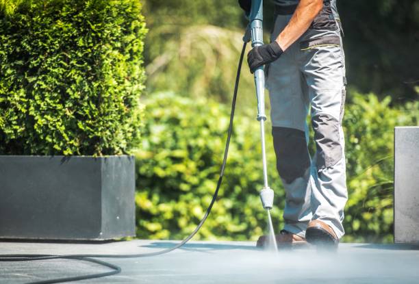 Best Spring Cleaning  in Alexandria, VA