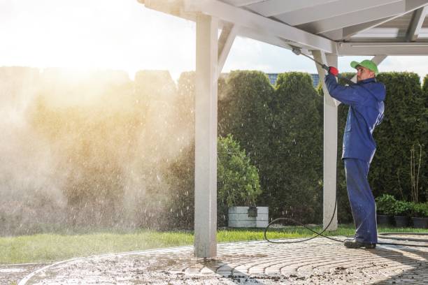 Best Rust Removal  in Alexandria, VA